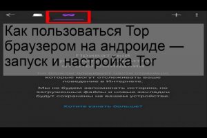 Блэк спрут pics bs2web top