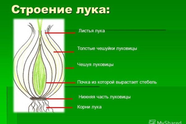 Как восстановить аккаунт блэк спрут