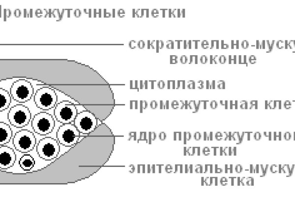 Сайт blacksprut на торе