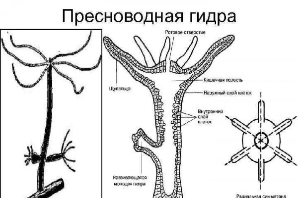 Ссылка блэкспрут bs2onion org