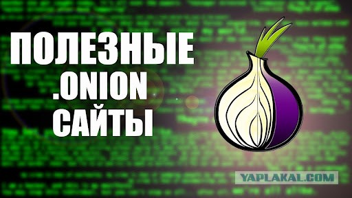 Blacksprut не работает сейчас